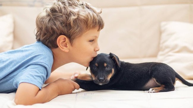 День щенков и День одинаковых носков: какие праздники отмечают в России и мире 23 марта - «Мир женщины»